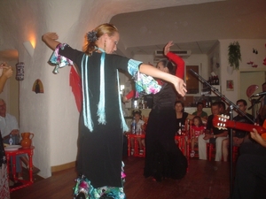 Flamenco  2008 017