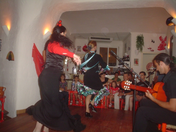 Flamenco  2008 018