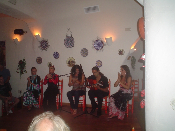 Flamenco  2008 019