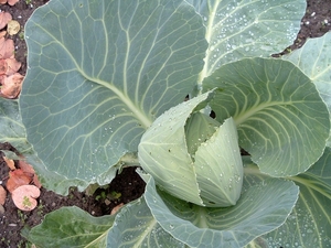 heemtuin-brunssum-015-PC