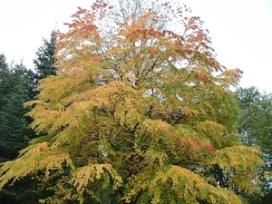 heemtuin-brunssum-017-PC