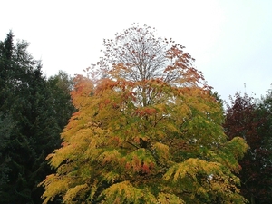 heemtuin-brunssum-018-PC