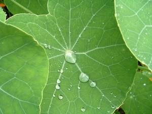 heemtuin-brunssum-020-PC