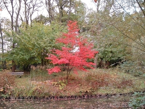 heemtuin-brunssum-046-PC