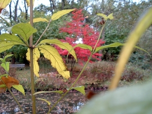 heemtuin-brunssum-047-PC