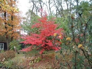 heemtuin-brunssum-048-PC