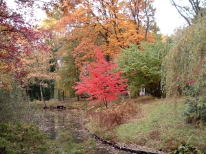 heemtuin-brunssum-049-PC