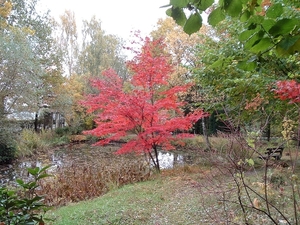 heemtuin-brunssum-050-PC