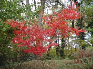 heemtuin-brunssum-051-PC