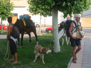 los arcos 2 206 201