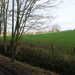 Oudenaarde februari 2011 004