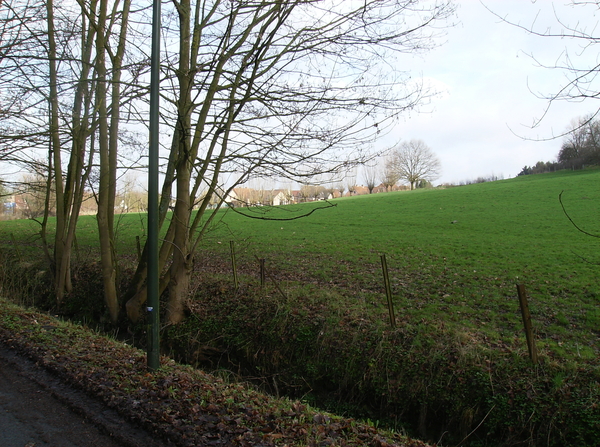 Oudenaarde februari 2011 004