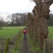 Oudenaarde februari 2011 008