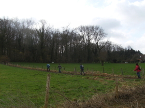 Oudenaarde februari 2011 009