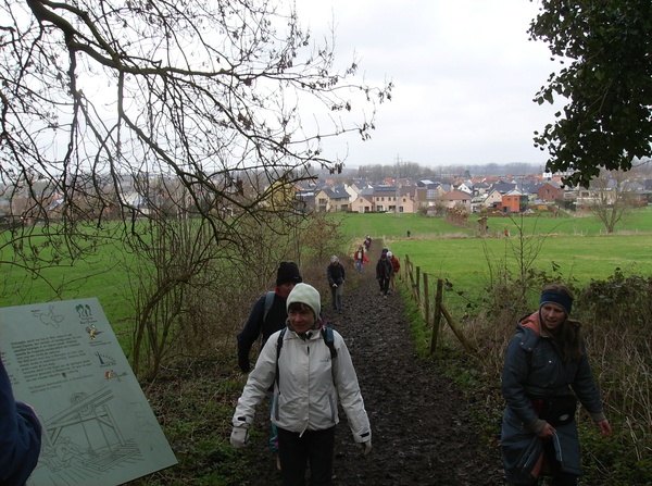 Oudenaarde februari 2011 010