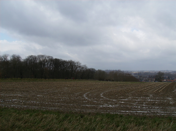 Oudenaarde februari 2011 016