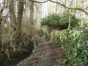 Oudenaarde februari 2011 022