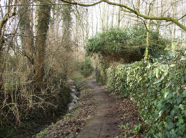 Oudenaarde februari 2011 022