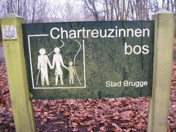 011-21ha.Chartreuzinnenbos