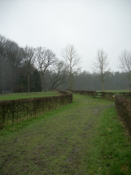 015-Chartreuzinnenbos