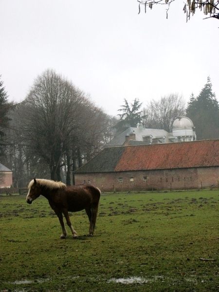 021-Domein Beisbroek