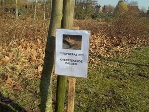 OPGEPAST? OVERSTEKENDE PADDEN !!!
