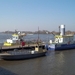 BOOTJES OP DE SCHELDE