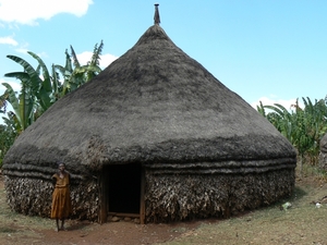 Sidamo stam