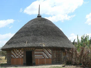 Oromo stam