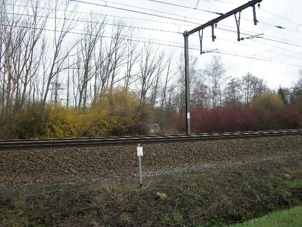 024-Al volop kleuren in de natuur