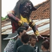 Ogoh-Ogoh