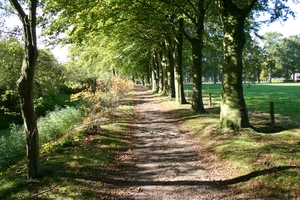 Kasteel 020