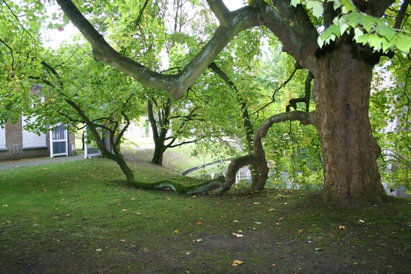 Kasteel 066