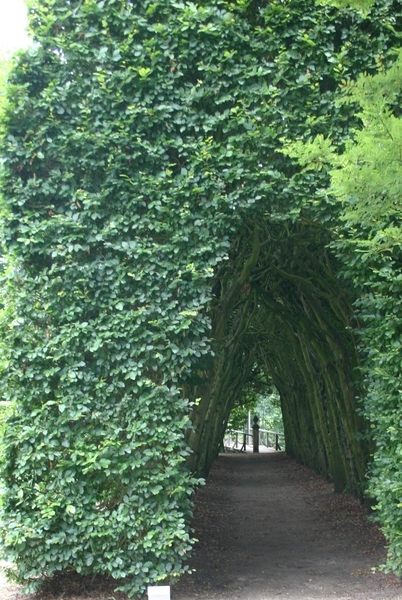 zwolle en wije 092 (2)