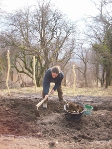 veldjes bewerken