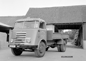 DAF-7Streper