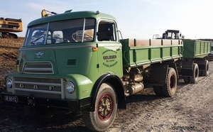 DAF-2000DO