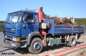 DAF-2300