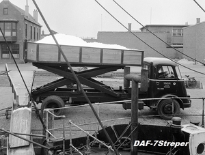 DAF-7Streper