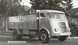 DAF-7Streper