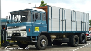 DAF-2600