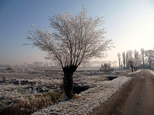 P1000243