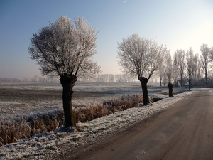 P1000244