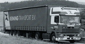 DAF-95 REINING TRANSPORT B.V