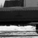 DAF-2600