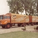 DAF-2600