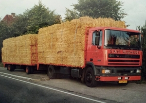 DAF-95