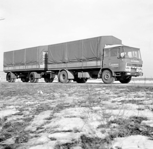 DAF-2600