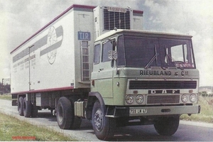 DAF-2600