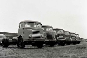 DAF-7Streper